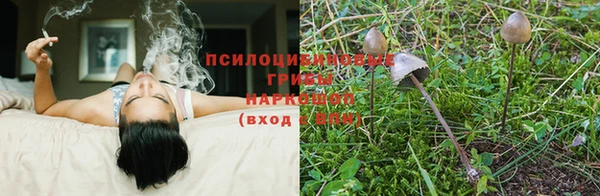 MDMA Premium VHQ Богородск