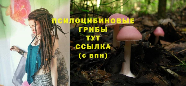 соль ск Бугульма
