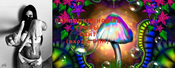 мяу мяу мука Бородино